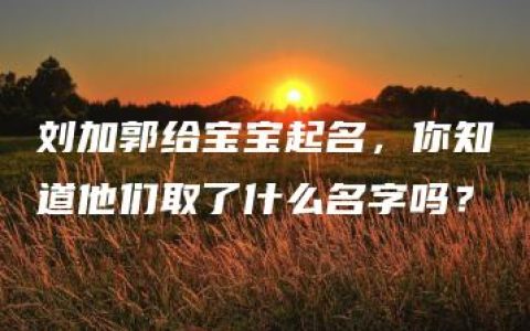 刘加郭给宝宝起名，你知道他们取了什么名字吗？