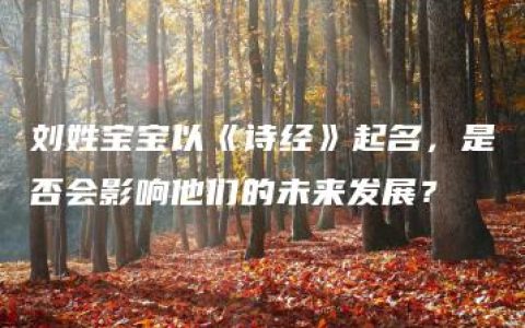 刘姓宝宝以《诗经》起名，是否会影响他们的未来发展？