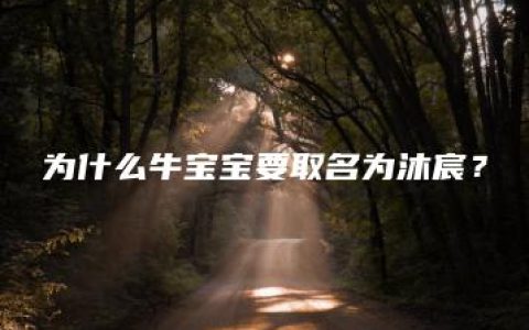 为什么牛宝宝要取名为沐宸？