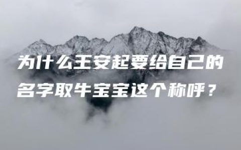 为什么王安起要给自己的名字取牛宝宝这个称呼？