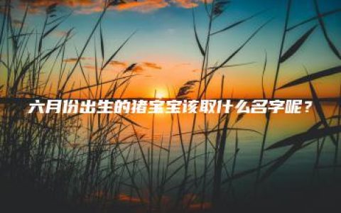 六月份出生的猪宝宝该取什么名字呢？