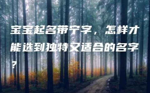 宝宝起名带宁字，怎样才能选到独特又适合的名字？