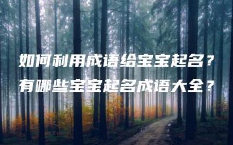 如何利用成语给宝宝起名？有哪些宝宝起名成语大全？