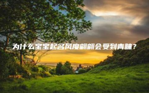 为什么宝宝起名风度翩翩会受到青睐？