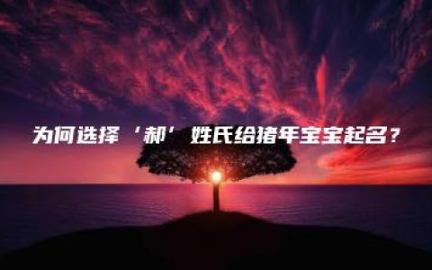 为何选择‘郝’姓氏给猪年宝宝起名？