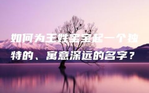 如何为王姓宝宝起一个独特的、寓意深远的名字？