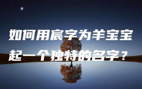 如何用宸字为羊宝宝起一个独特的名字？