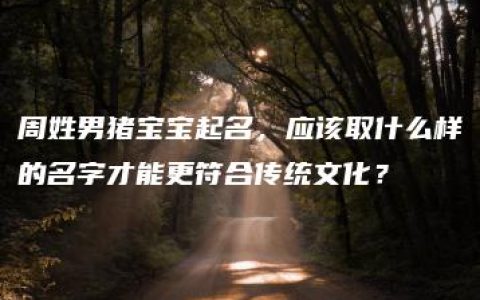 周姓男猪宝宝起名，应该取什么样的名字才能更符合传统文化？