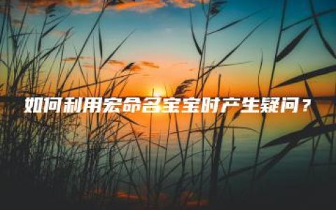 如何利用宏命名宝宝时产生疑问？