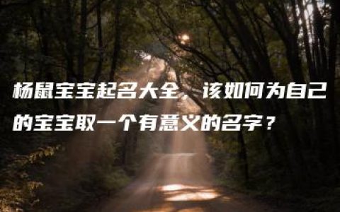 杨鼠宝宝起名大全，该如何为自己的宝宝取一个有意义的名字？