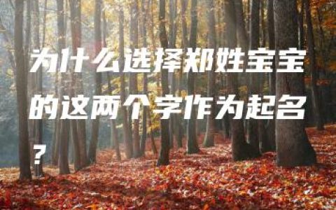 为什么选择郑姓宝宝的这两个字作为起名？