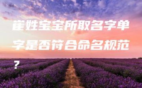 崔姓宝宝所取名字单字是否符合命名规范？