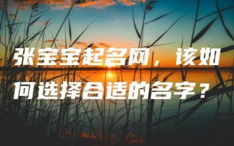 张宝宝起名网，该如何选择合适的名字？