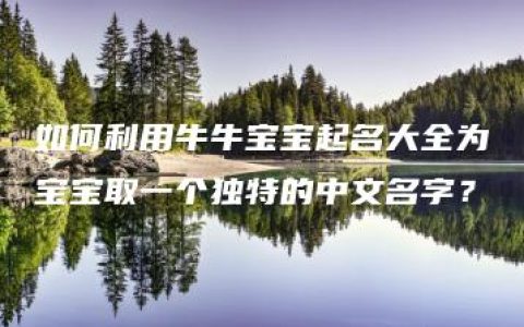 如何利用牛牛宝宝起名大全为宝宝取一个独特的中文名字？