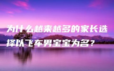 为什么越来越多的家长选择以飞车男宝宝为名？