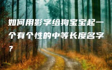 如何用影字给狗宝宝起一个有个性的中等长度名字？