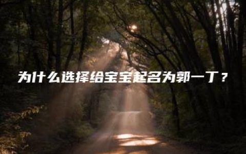 为什么选择给宝宝起名为郭一丁？