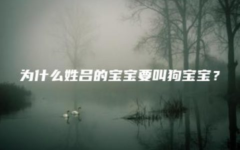 为什么姓吕的宝宝要叫狗宝宝？