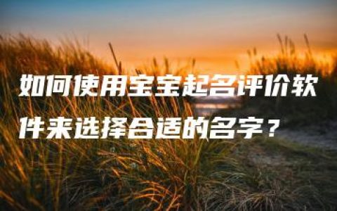 如何使用宝宝起名评价软件来选择合适的名字？