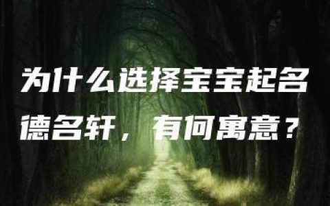 为什么选择宝宝起名德名轩，有何寓意？