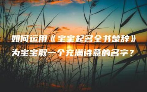 如何运用《宝宝起名全书楚辞》为宝宝取一个充满诗意的名字？