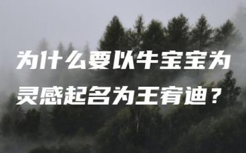 为什么要以牛宝宝为灵感起名为王宥迪？