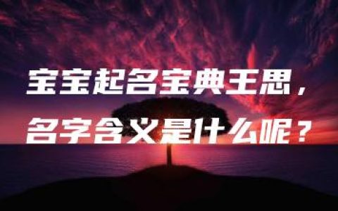 宝宝起名宝典王思，名字含义是什么呢？