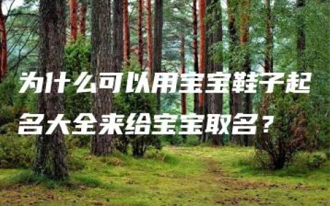 为什么可以用宝宝鞋子起名大全来给宝宝取名？