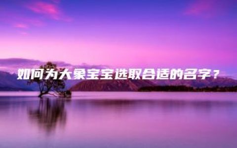 如何为大象宝宝选取合适的名字？