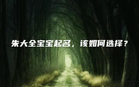 朱大全宝宝起名，该如何选择？