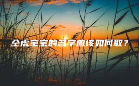 仝虎宝宝的名字应该如何取？