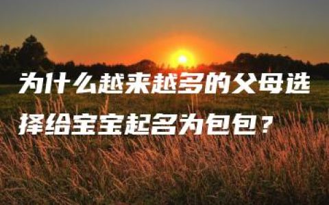 为什么越来越多的父母选择给宝宝起名为包包？