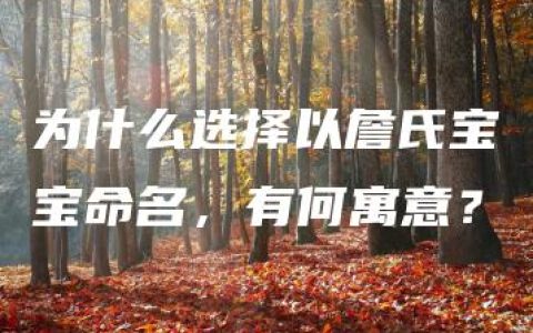 为什么选择以詹氏宝宝命名，有何寓意？