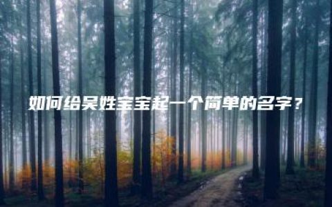 如何给吴姓宝宝起一个简单的名字？