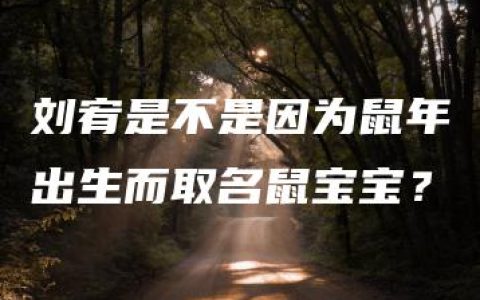 刘宥是不是因为鼠年出生而取名鼠宝宝？