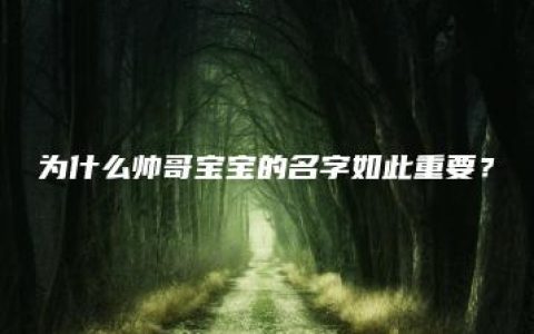 为什么帅哥宝宝的名字如此重要？