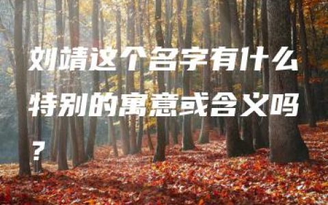 刘靖这个名字有什么特别的寓意或含义吗？