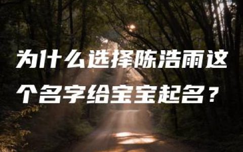 为什么选择陈浩雨这个名字给宝宝起名？