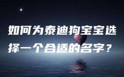 如何为泰迪狗宝宝选择一个合适的名字？