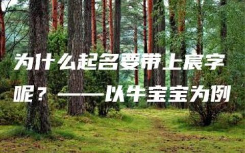 为什么起名要带上宸字呢？——以牛宝宝为例