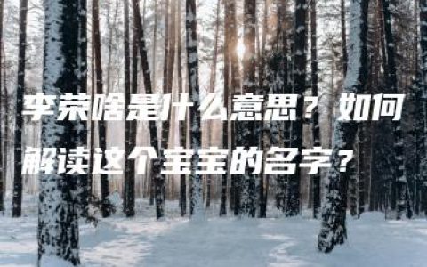 李荣啥是什么意思？如何解读这个宝宝的名字？