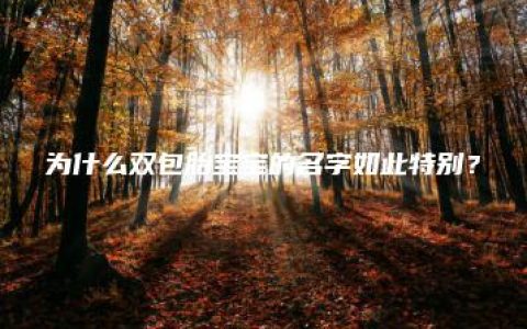 为什么双包胎宝宝的名字如此特别？