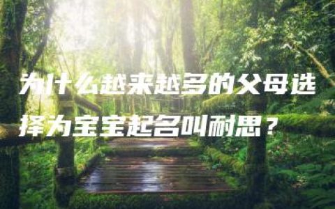 为什么越来越多的父母选择为宝宝起名叫耐思？