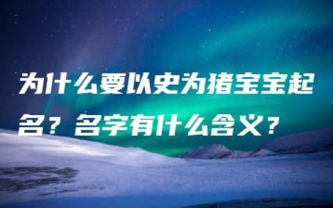 为什么要以史为猪宝宝起名？名字有什么含义？