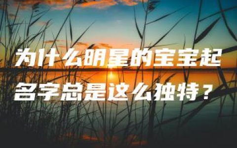 为什么明星的宝宝起名字总是这么独特？