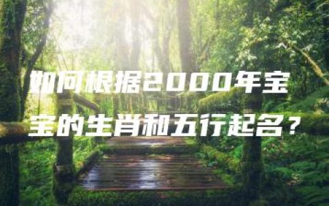 如何根据2000年宝宝的生肖和五行起名？