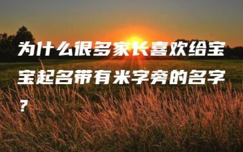 为什么很多家长喜欢给宝宝起名带有米字旁的名字？