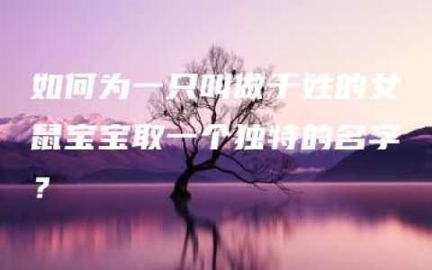 如何为一只叫做于姓的女鼠宝宝取一个独特的名字？