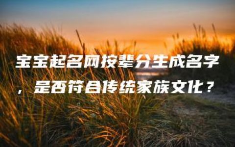 宝宝起名网按辈分生成名字，是否符合传统家族文化？