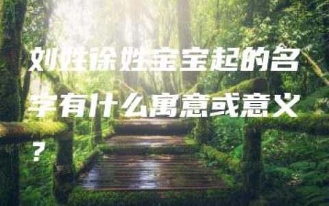 刘姓徐姓宝宝起的名字有什么寓意或意义？